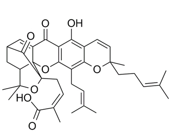 Gambogic Acid 2752-65-0