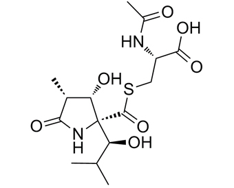 lactacystin 133343-34-7